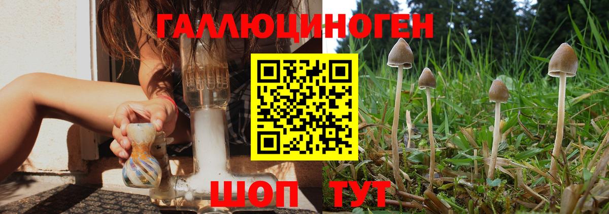 Псилоцибиновые грибы Magic Shrooms  Вход с VPN  Галлюциногенные грибы Psilocybe  Дальнегорск 